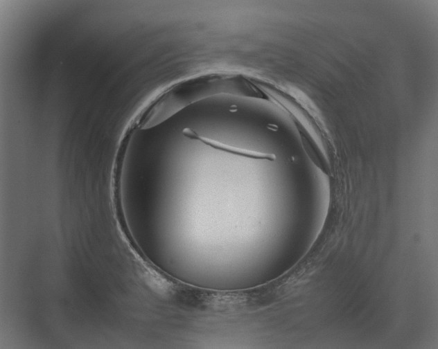 X0000075361183200609151629