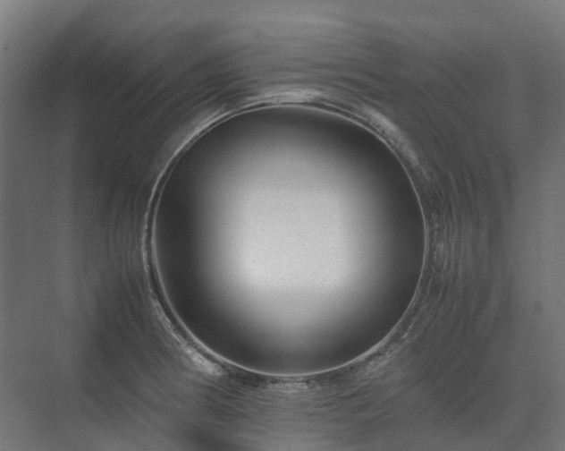 X0000075361186200609151629