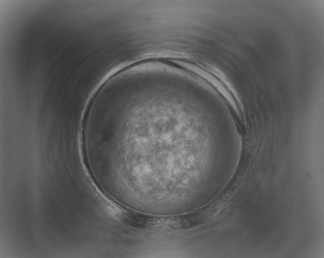 X0000075361187200609151629