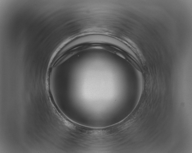 X0000075361188200609151629