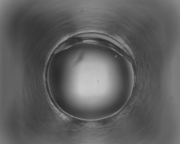 X0000075361189200609151629