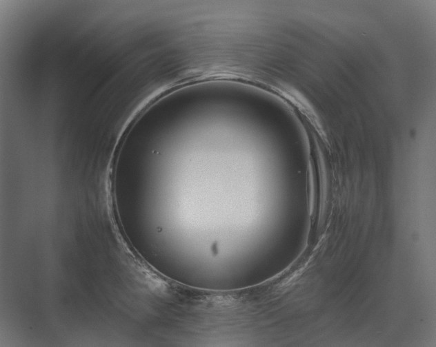 X0000075361190200609151629