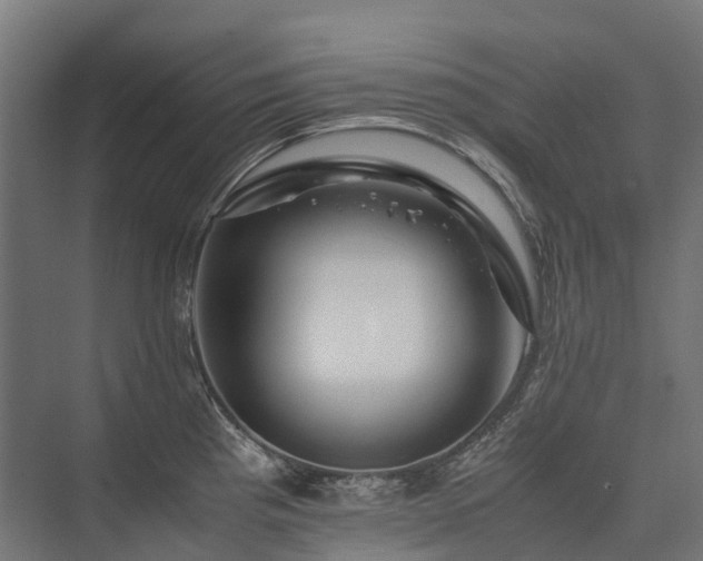 X0000075361193200609151629