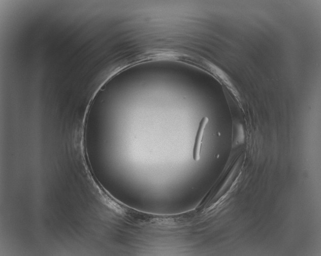 X0000075361194200609151629