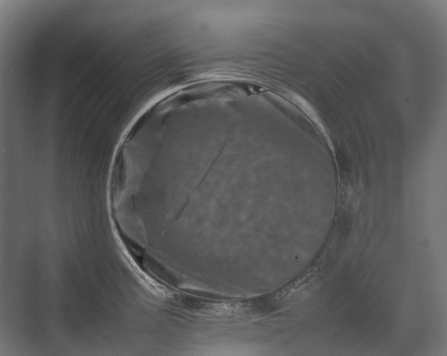 X0000075361195200609151629