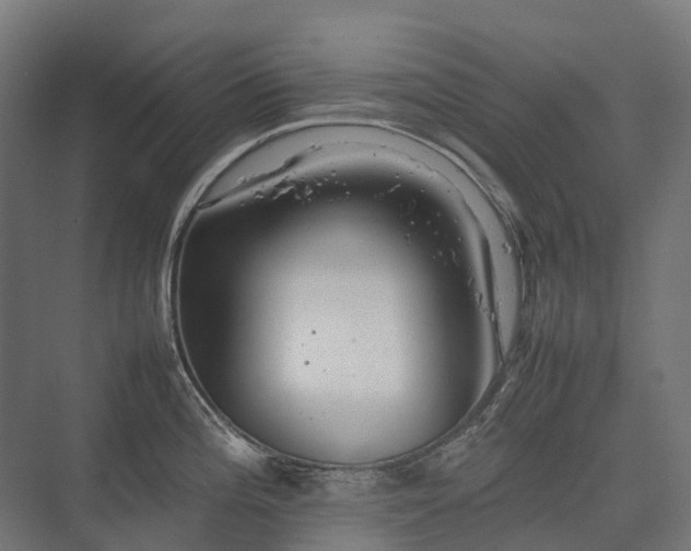 X0000075361196200609151629