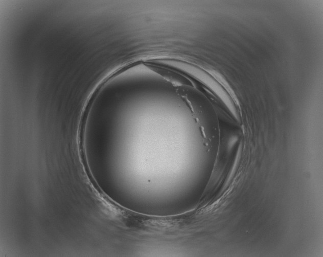 X0000075361197200609151629