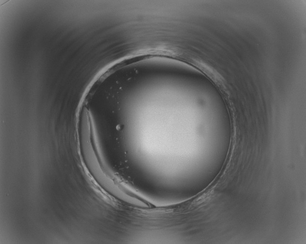 X0000075361200200609151629