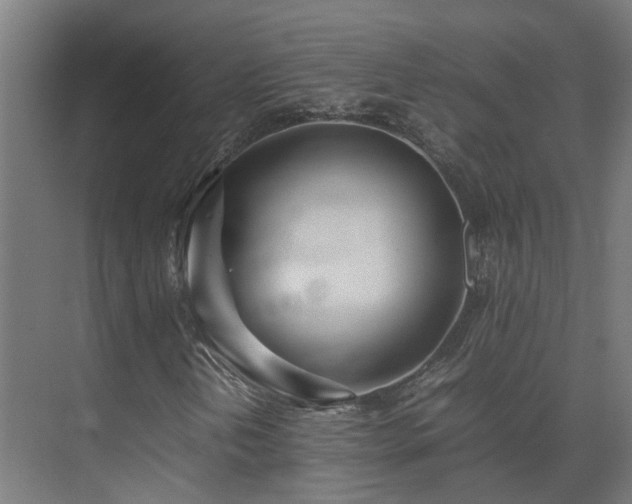 X0000075361202200609151628