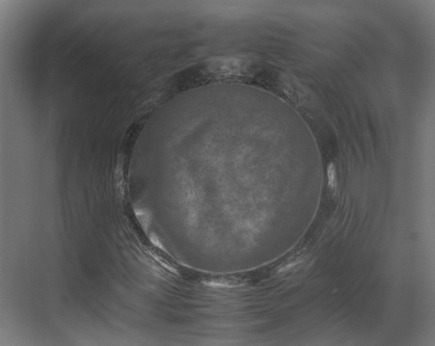 X0000075361203200609151628