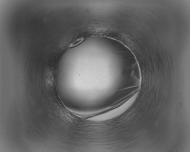 X0000075361204200609151628