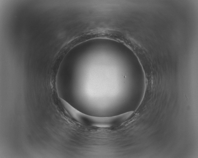 X0000075361206200609151628