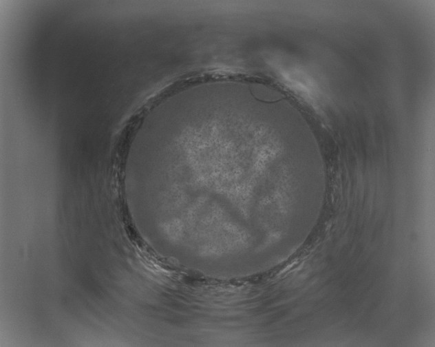 X0000075361207200609151628