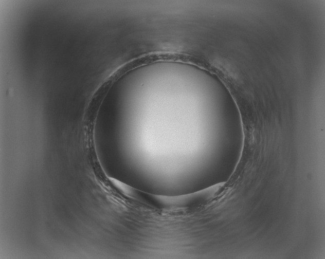 X0000075361208200609151628