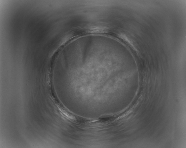 X0000075361211200609151628