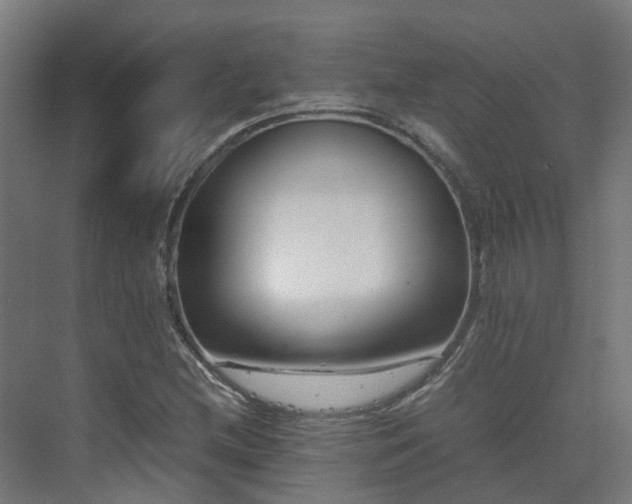 X0000075361212200609151628