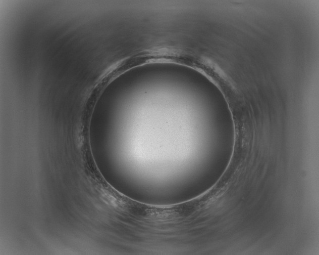 X0000075361213200609151628