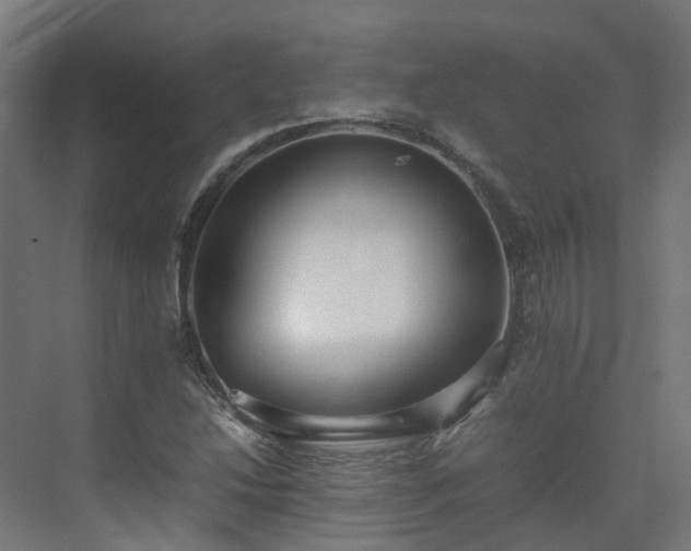 X0000075361214200609151628