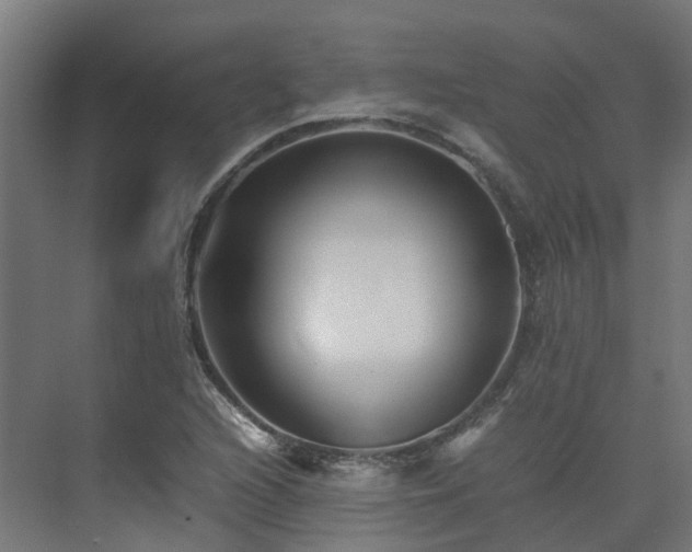 X0000075361216200609151628