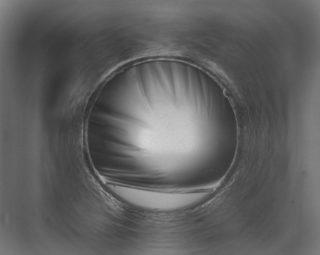 X0000075361220200609151628