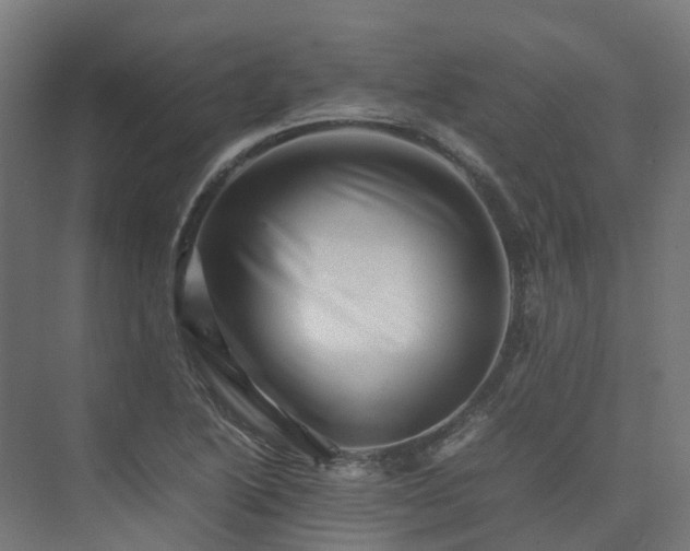 X0000075361222200609151628