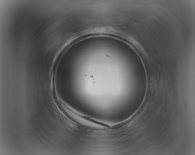 X0000075361224200609151628