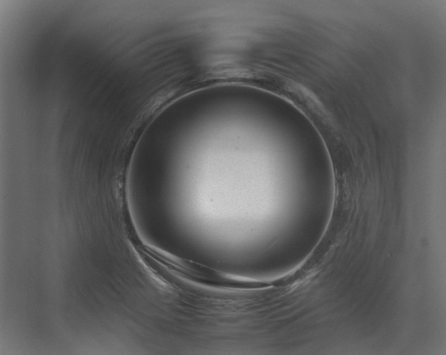 X0000075361225200609151628