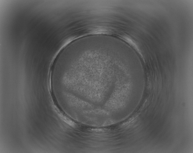 X0000075361227200609151628