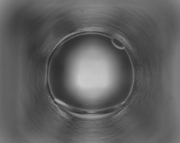 X0000075361228200609151628