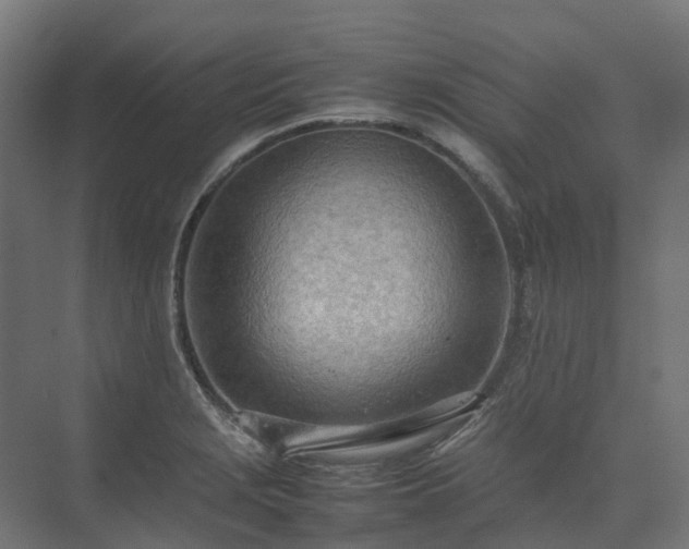 X0000075361229200609151628