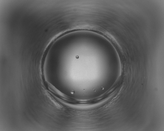 X0000075361230200609151628