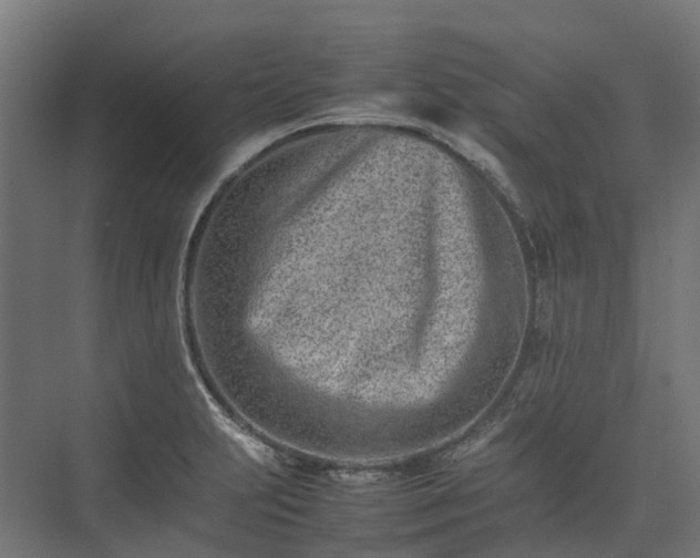 X0000075361231200609151628