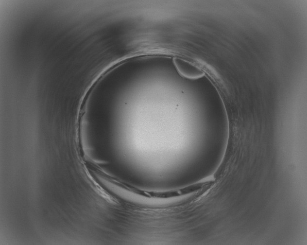 X0000075361236200609151628