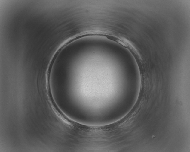 X0000075361238200609151628