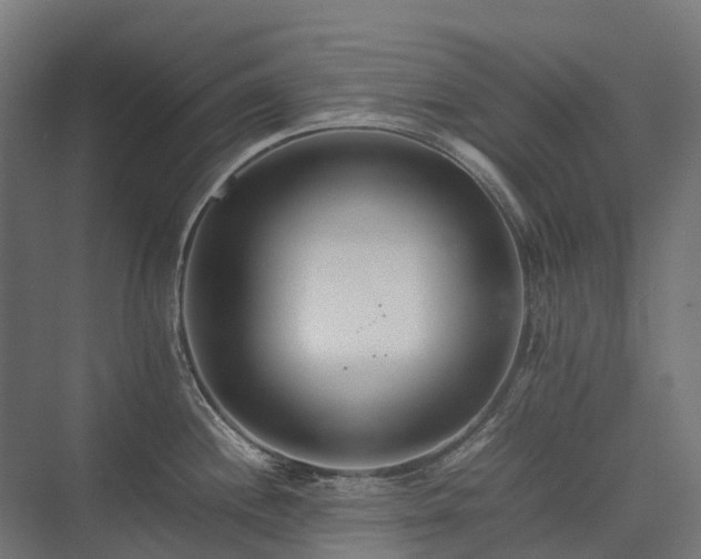 X0000075361244200609151628