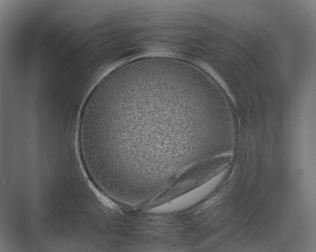 X0000075361245200609151628