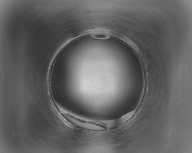 X0000075361248200609151628