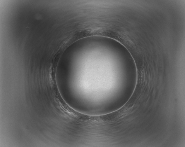 X0000075361250200609151628