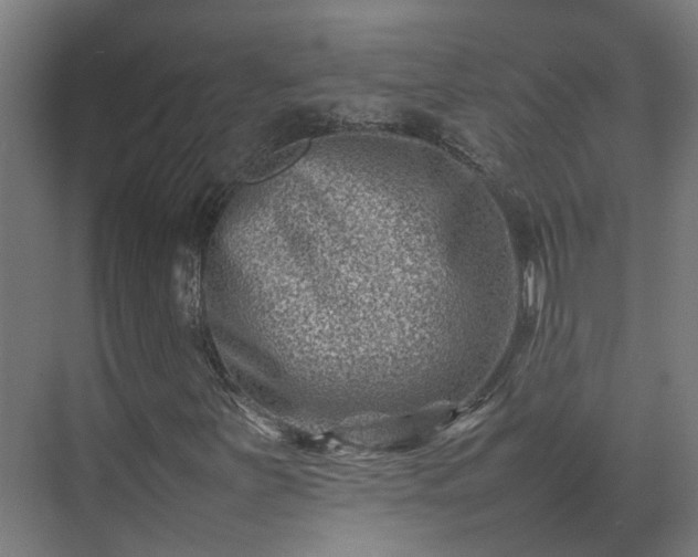 X0000075361251200609151628