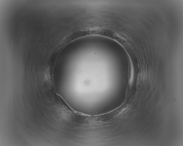 X0000075361252200609151628