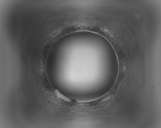 X0000075361253200609151628