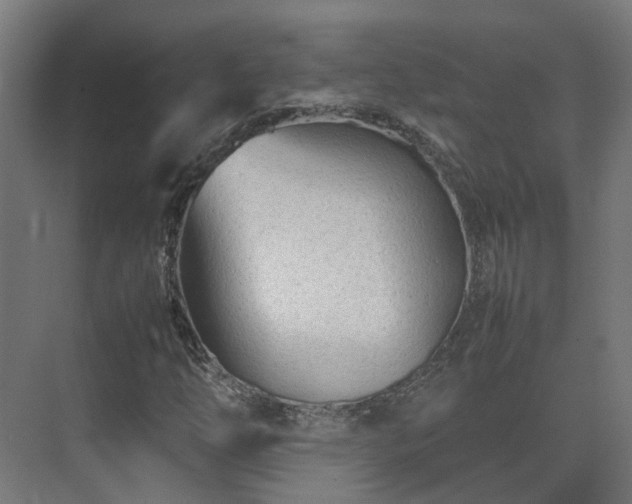 X0000075361254200609151628