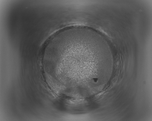 X0000075361255200609151628