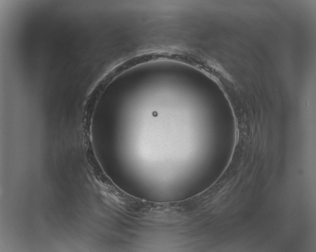 X0000075361256200609151628