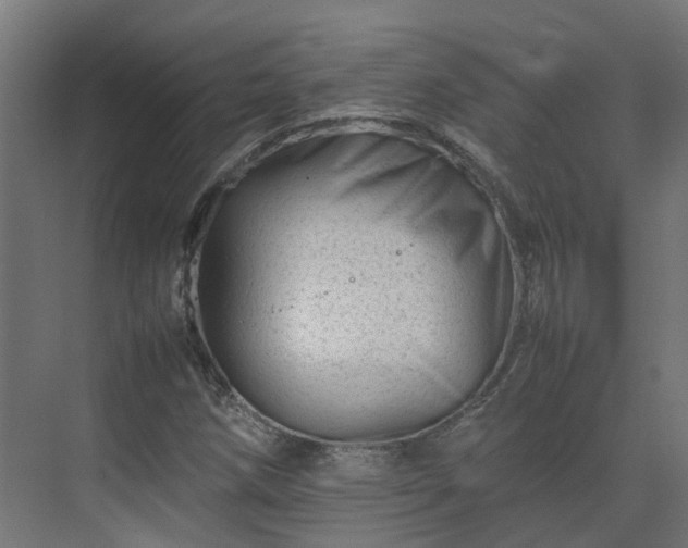 X0000075361258200609151628