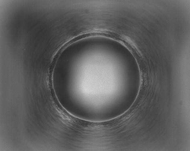 X0000075361260200609151627