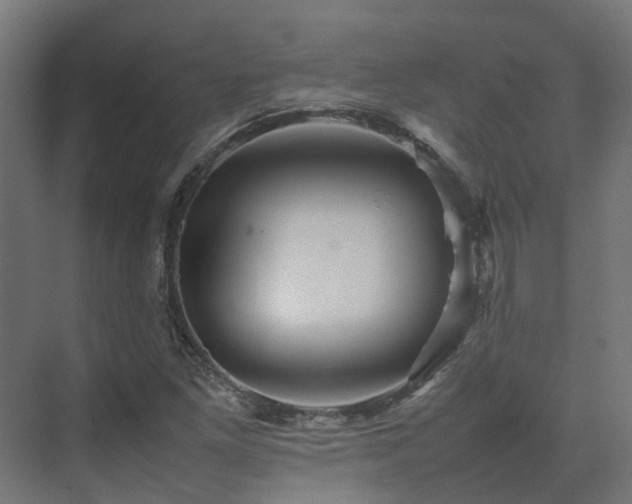 X0000075361261200609151627