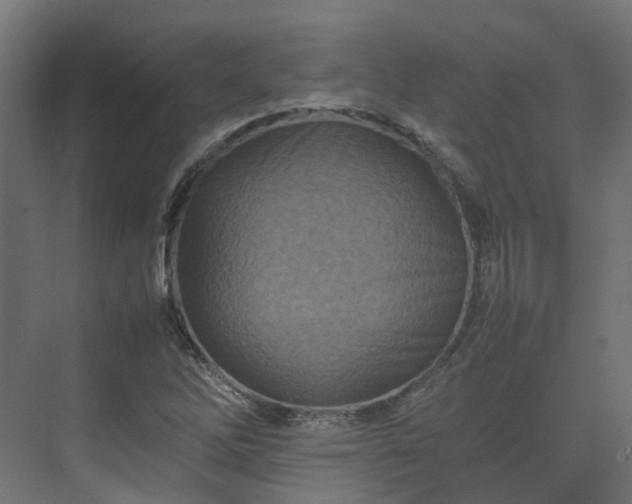 X0000075361262200609151627