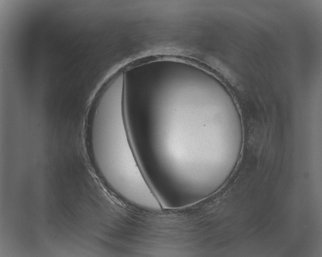 X0000075361264200609151627