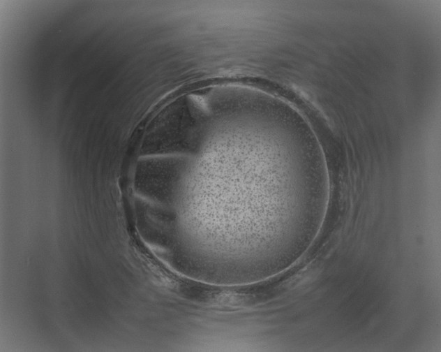 X0000075361265200609151627